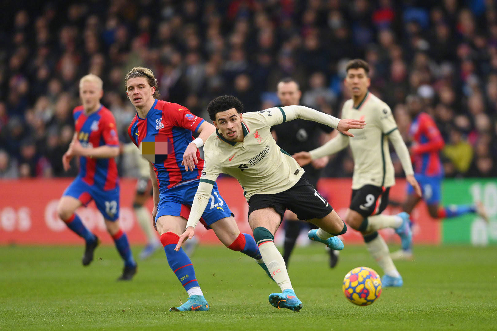 动员陶强龙 动员陶强龙